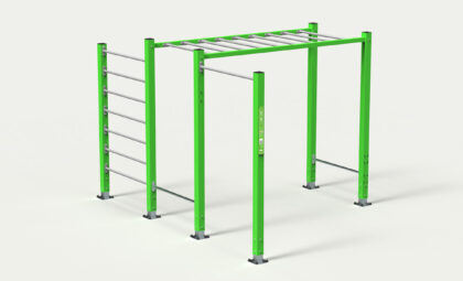 EX-094-street-workout-calisthenics-SMALL-1