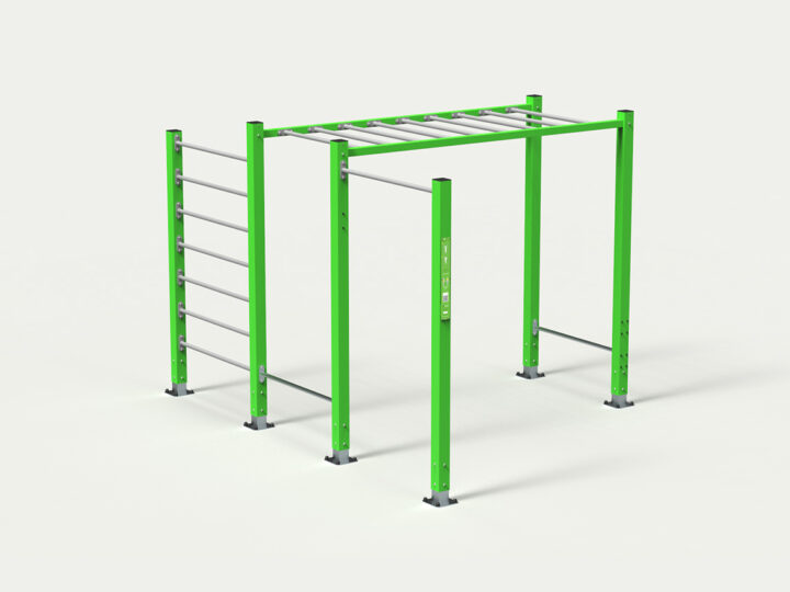 EX-094-street-workout-calisthenics-SMALL-1